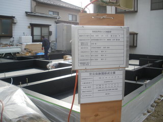 IMGP4860.JPG