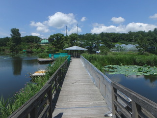 P7110022.JPG