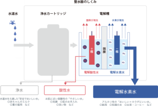 what_type_figure.png